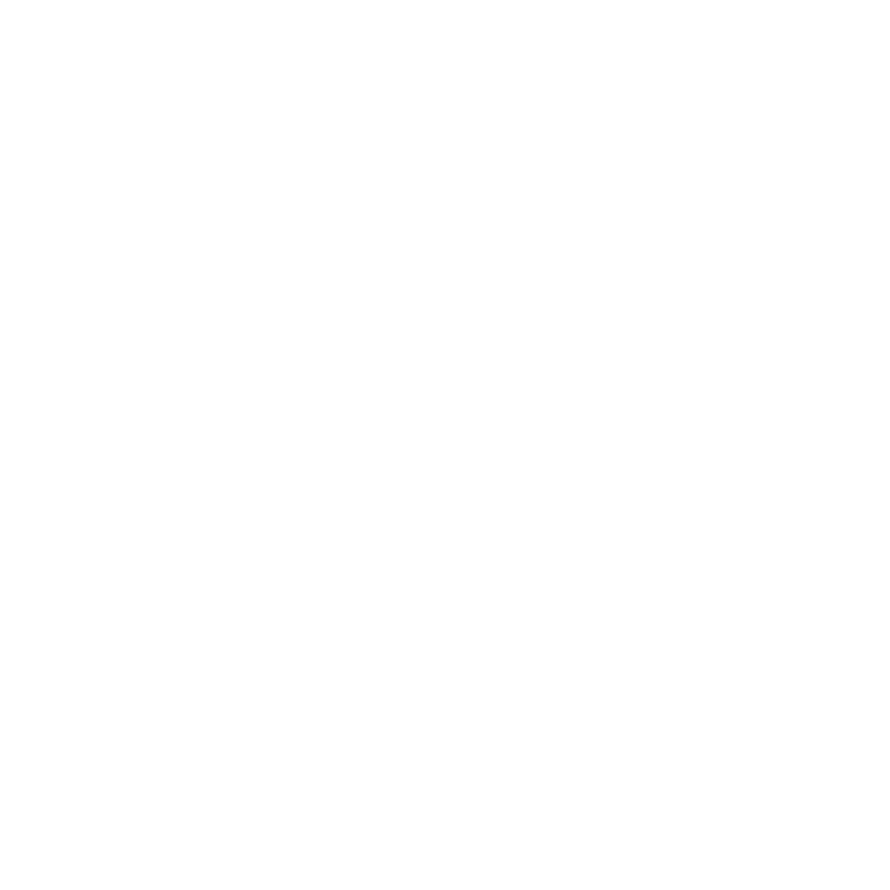 Shuttle