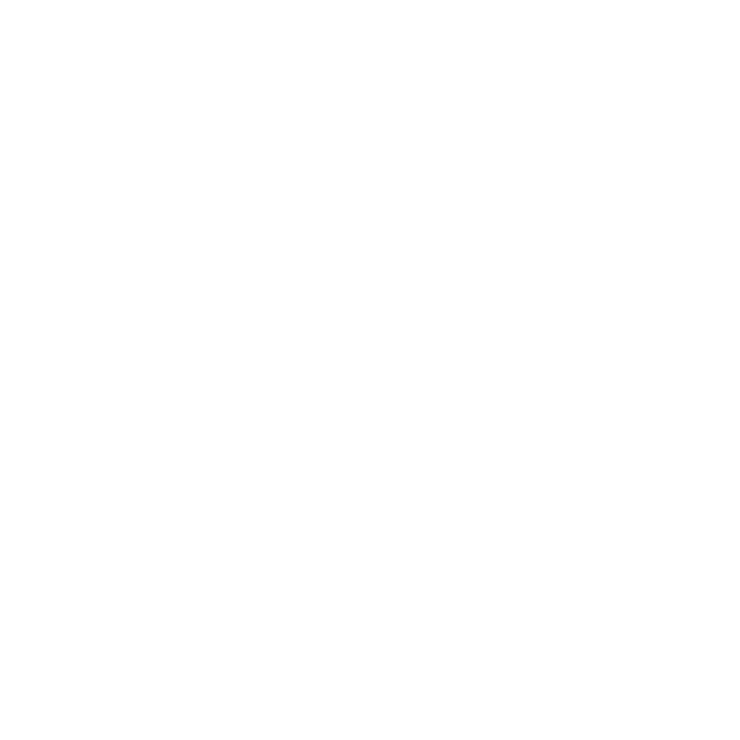 Shell Island Panama City Snorkeling, Dolphin Tours, and Pontoon Boat Rentals