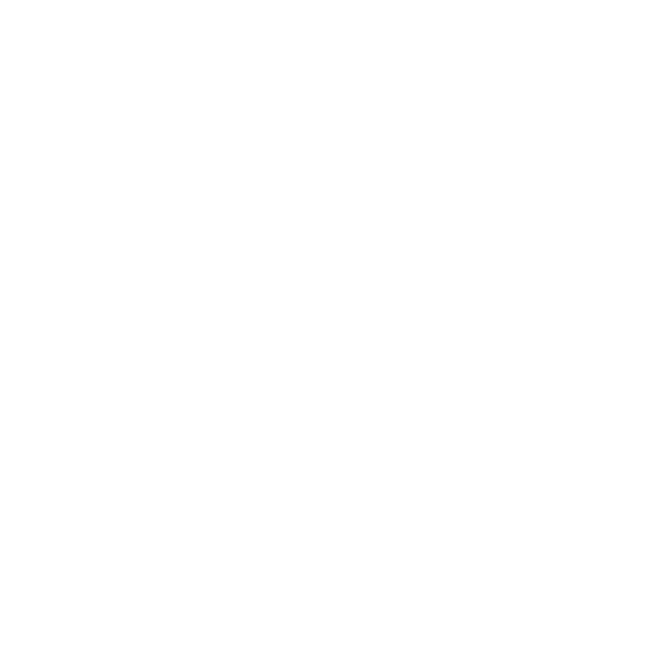 Shell Island Shuttle