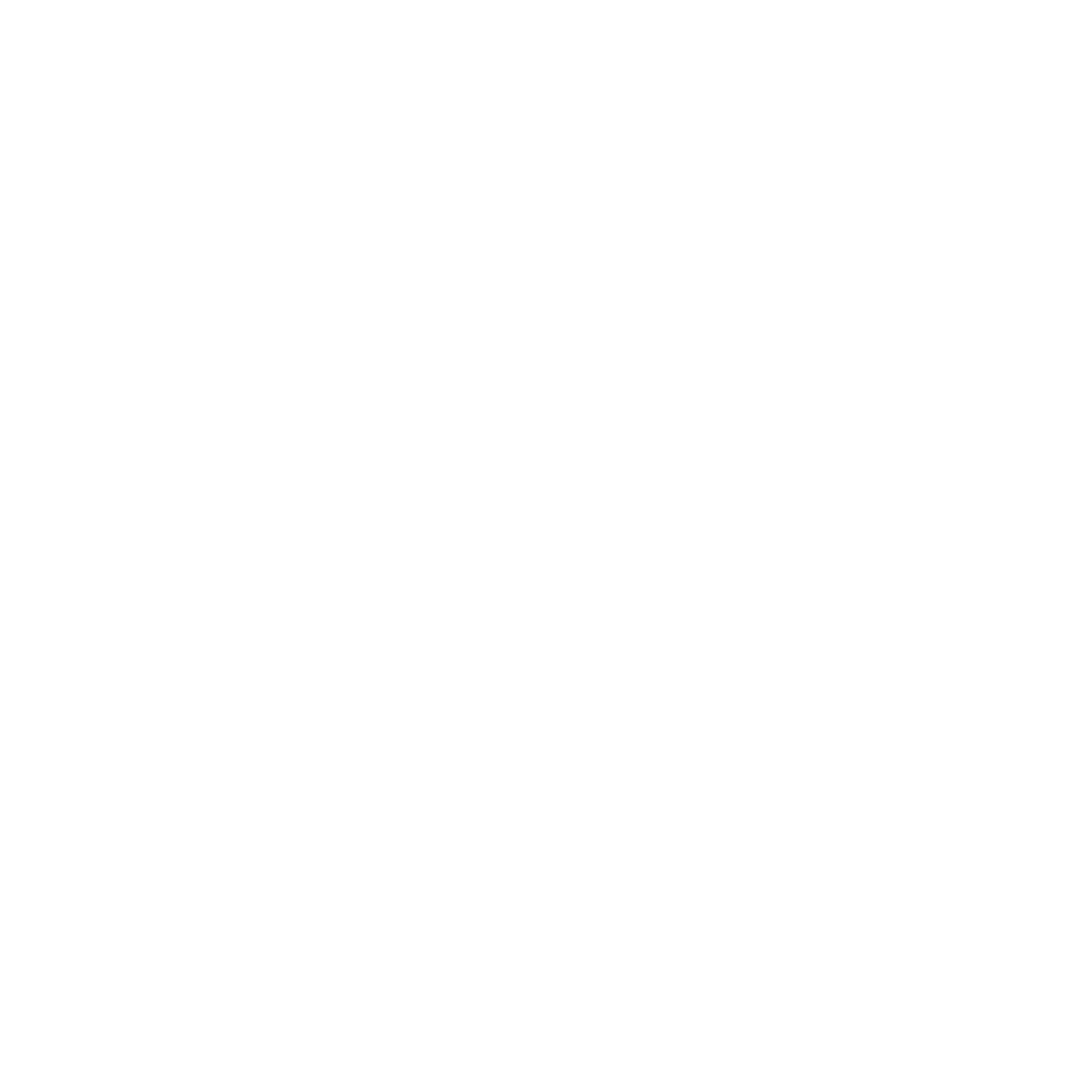 Shell Island Panama City Snorkeling, Dolphin Tours, and Pontoon Boat Rentals