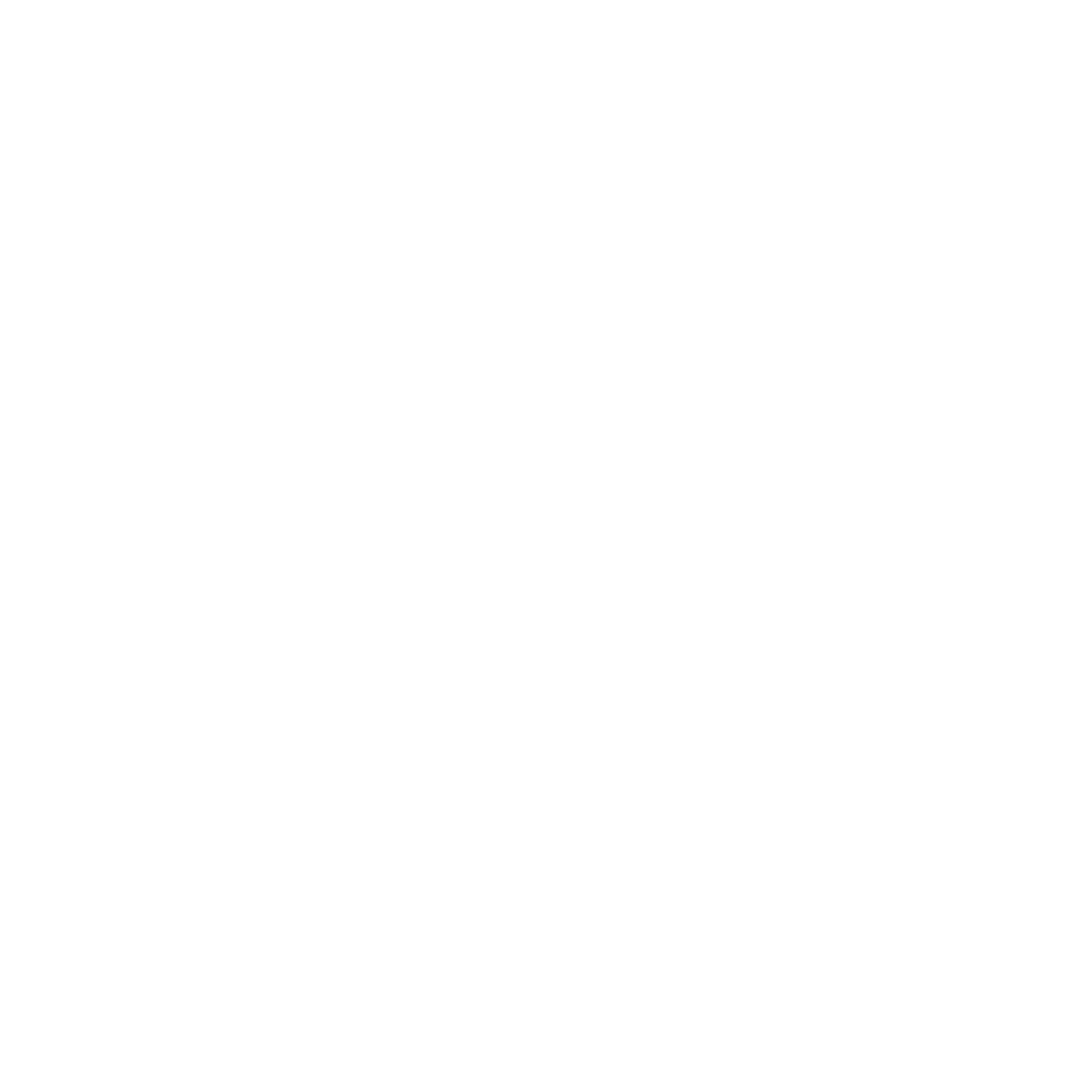 Shell Island Panama City Snorkeling, Dolphin Tours, and Pontoon Boat Rentals
