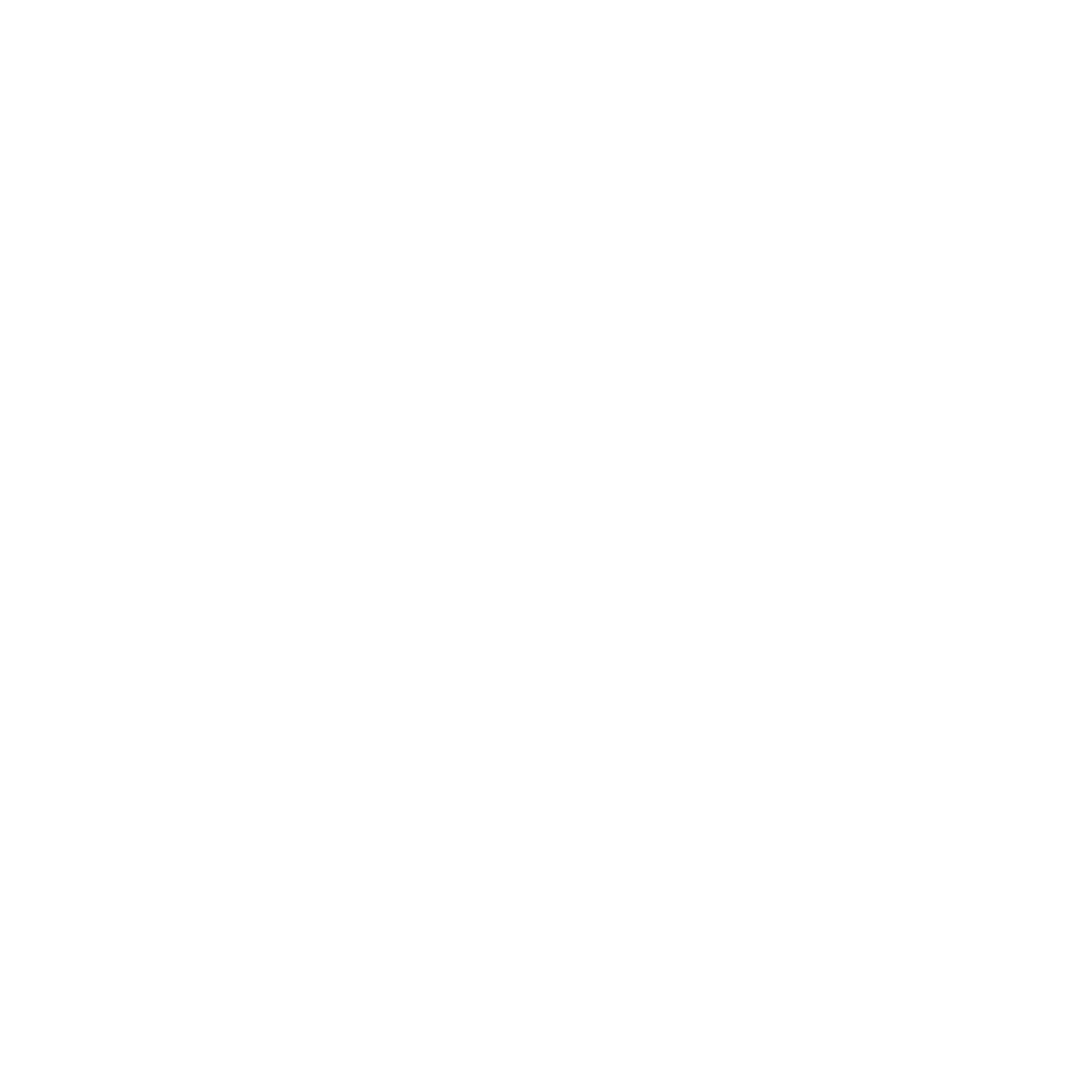 Shell Island Panama City Snorkeling, Dolphin Tours, and Pontoon Boat Rentals