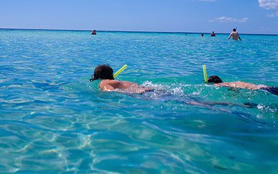 snorkeling panama beach city gulf island shell florida state shuttle swim safe tour lives surface ready below take visit mexico